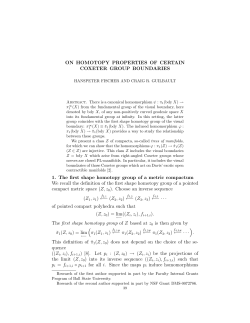 On Homotopy Properties of Certain Coxeter Group Boundaries