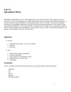 Lab 3.1: Spreadsheet Basics