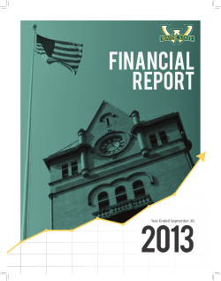 2013 Financial Report