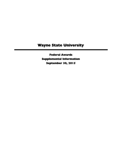 2015 A133 Report
