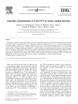Anaerobic transformation of 2,4,6-TNT by bovine ruminal microbes: 2004