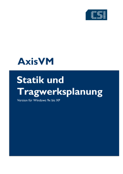 Handbuch AxisVM 7.pdf