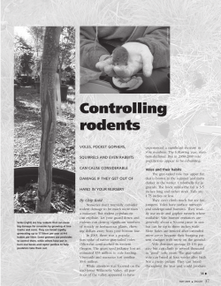 Controlling Rodents