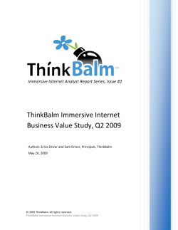 ThinkBalm Immersive Internet Business Value Study, Q2 2009