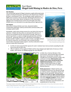 Illegal Gold Mining in Peru