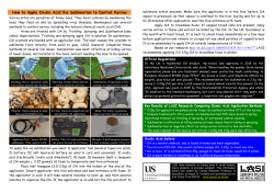 How to Apply Oxalic Acid Via Sublimation to Control Varroa [PDF 1.05MB]