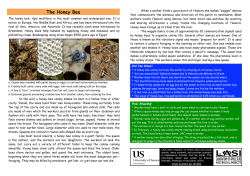 The Honey Bee [PDF 1.28MB]