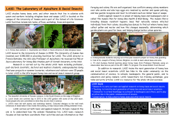 LASI: The Laboratory of Apiculture and Social Insects [PDF 433.62KB]