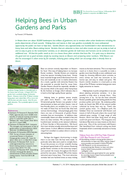 Helping Bees in Urban areas BBJ 1-16 [PDF 933.99KB]