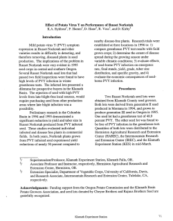 Effect of Potato Virus Y on Performance of Russet Norkotah