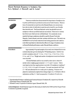 Russet Burbank Response to Seedpiece Size