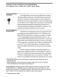 Sugarbeet Variety Evaluations in the Klamath Basin