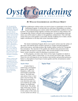 Oyster Gardening FAQ