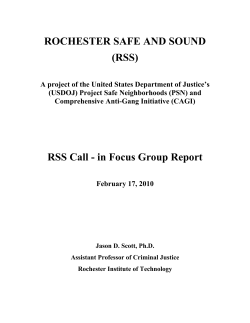 Rochester Safe and Sound: Call-in Focus Group Report