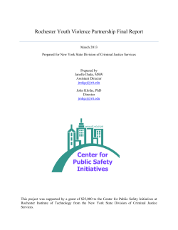 Rochester Youth Violence Partnership Report