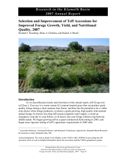 Selection and Improvement of Teff Accessions for Improved