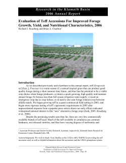 Evaluation of Teff Accessions for Improved Forage Growth, Yield and Nutritional Characteristics, 2006