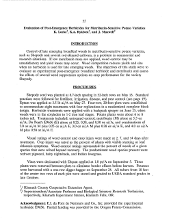 Evaluation of Post-Emergence Herbicides for Metribuzin-Sensitive Potato Varieties