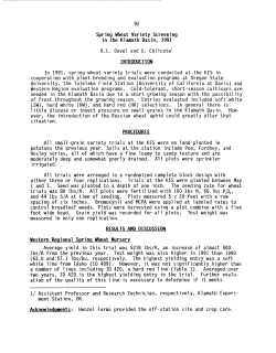 Spring Wheat Variety Screening in the Klamath Basin, 1991