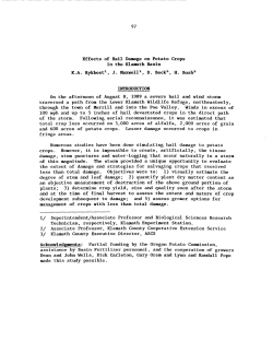 Effects of Hail Damage on Potato Crops in the Klamath Basin