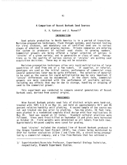 A Comparison of Russet Burbank Seed Sources