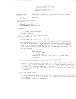 Adaptation of Tree Fruit Varieties in Klamath Basin, 1955