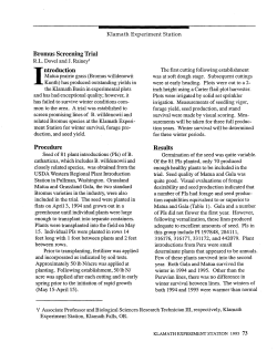 Bromus Screening Trial