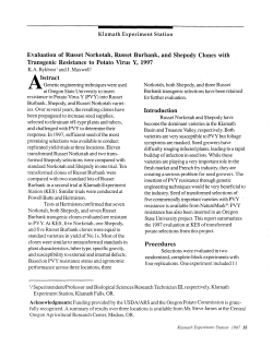Evaluation of Russet Norkotah, Russet Burbank, and Shepody Clones with Transgenic Resistance of Potato Virus Y, 1997