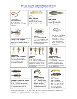 Bug ID Card: