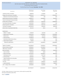 Philanthropic Cash Flow Report
