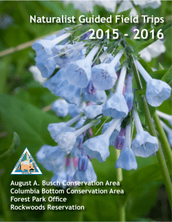 Naturalist Guided Field Trips