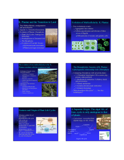 Plants1