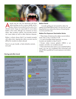Animal Risks/Rabies Vaccine