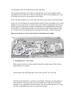 Monterey Bay Aquarium Field Trip