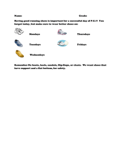 Shoe Safety form_PE 2012