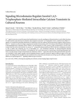 Signaling microdomains regulate inositol 1,4,5-trisphosphate-mediated intracellular calcium transients in cultured neurons.