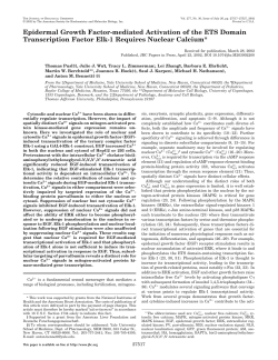 EGF-mediated activation of the ETS-domain transcription factor Elk-1 requires nuclear Ca2+.