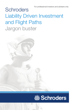 LDI jargon buster