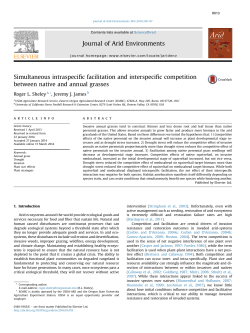 Download report (PDF)