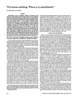 The grass seedling: When is it established?