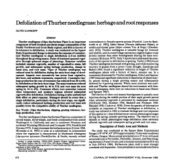 Defoliation of Thurber needlegrass: herbage and root responses.