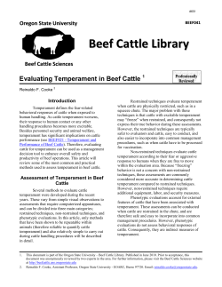 Beef Cattle Library - Evaluating Temperament in Beef Cattle