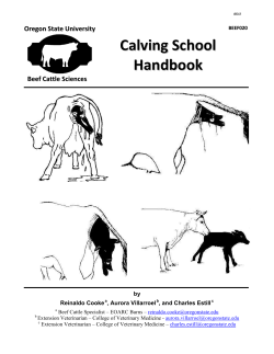 Calving School Handbook