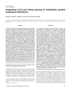 Integrating 2, 4-D and sheep grazing to rehabilitate spotted knapweed infestations