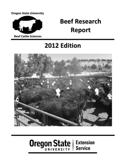 Download report (PDF)