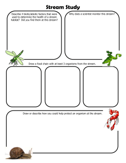 Stream Study Journal
