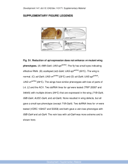 Supplementary Material