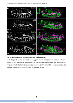 Supplementary Material