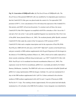 Supplementary Material