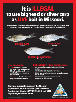 Illegal Live Bait Sign